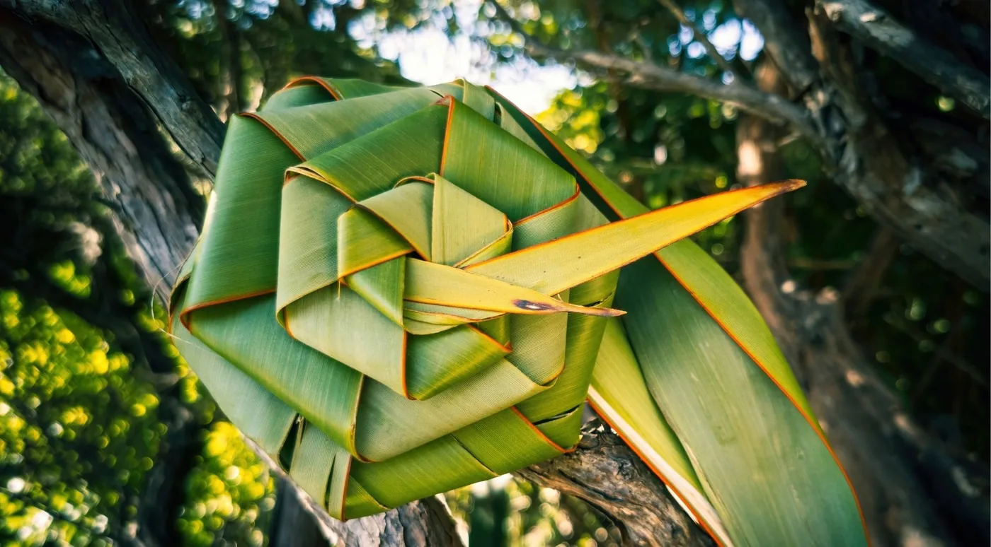 A woven harakeke flax form resting on a tree branch in dappled light
