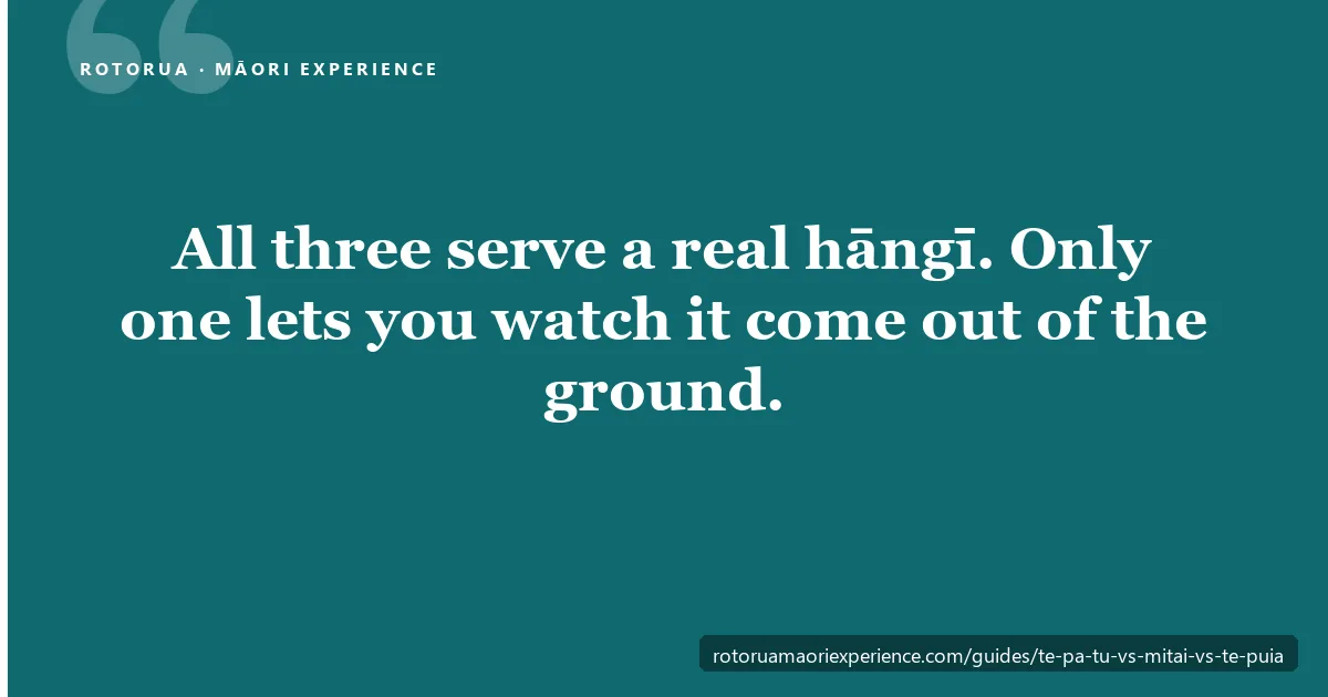 Te Pā Tū, Mitai and Te Puia evening experiences compared