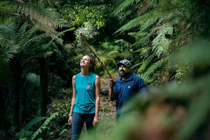 Whirinaki Forest Footsteps: Māori Guided Tour, Picnic & Transfer — photo 2