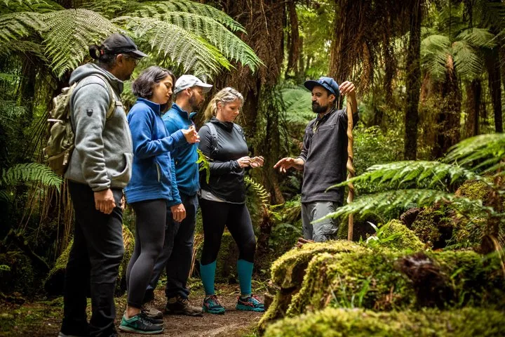 Whirinaki Forest Footsteps: Māori Guided Tour, Picnic & Transfer — photo 5