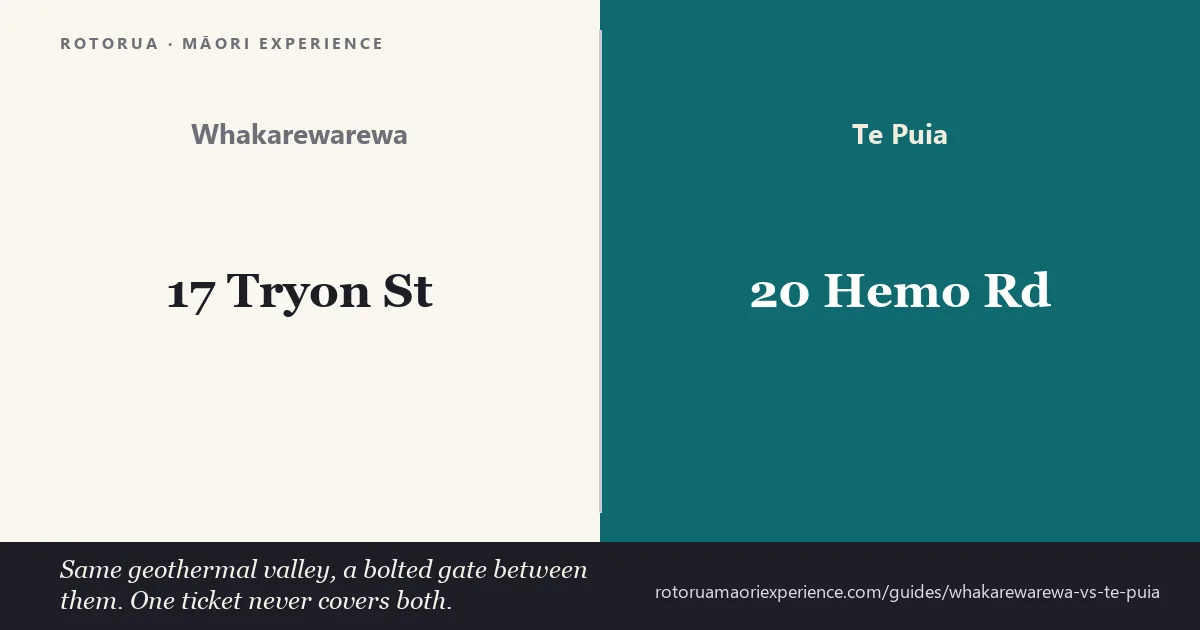 Whakarewarewa living village and Te Puia geothermal valley compared